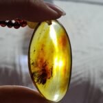 482244528_1225809265757110_6311915962639865941_n 虫珀吊坠 Insect Amber Pendant
