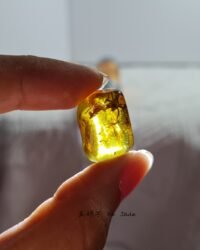 蜘蛛虫珀裸石 Spider Insect Amber Stone