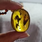 虫珀吊坠  Insect Amber Pendant