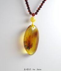 484648169_1225809512423752_9204312407568310033_n 虫珀吊坠 Insect Amber Pendant