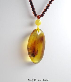 484648169_1225809512423752_9204312407568310033_n 虫珀吊坠 Insect Amber Pendant
