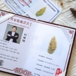 484835471_1225202715817765_5968879120212709616_n 黄翡龙牌吊坠 Yellow Jadeite Dragon Pendant