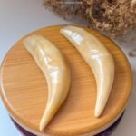 WhatsApp Image 2025-08-15 at 11.36.03 PM (3) 老虎牙 Tiger Tooth