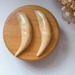 WhatsApp Image 2025-08-15 at 11.36.04 PM (1) 老虎牙 Tiger Tooth