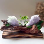 WhatsApp Image 2025-08-18 at 8.00.29 PM 春彩白菜摆件 Cabbage Jadeite Ornament