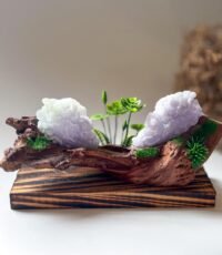 WhatsApp Image 2025-08-18 at 8.00.29 PM 春彩白菜摆件 Cabbage Jadeite Ornament