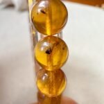 虫珀手串 Insect Amber Bracelet