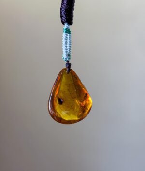 WhatsApp Image 2025-08-20 at 11.42.39 AM (4) 虫珀吊坠 Insect Amber Pendant
