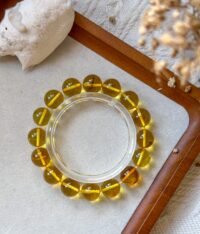 WhatsApp Image 2025-08-20 at 11.42.39 AM b 虫珀手串 Insect Amber Bracelet