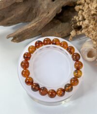 WhatsApp Image 2025-08-20 at 12.11.36 PM (1) 水草珀手串 Moss Amber Bracelet