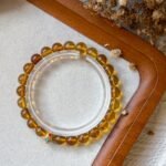 虫珀手串 Insect Amber Bracelet