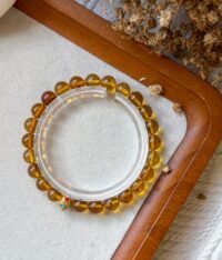 虫珀手串 Insect Amber Bracelet
