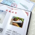 貔貅烟嘴过滤器  Jadeite Pixiu Smoking Pipe