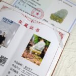 484806224_1225809259090444_74465373194099683_n 文书龙吊坠 Dragon Pendant