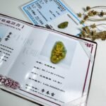 485286622_1229893738681996_2287715924515165898_n 3D黄翡龙吊坠 Yellow Jadeite Dragon Pendant