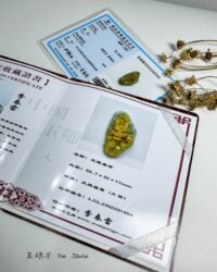 485286622_1229893738681996_2287715924515165898_n 3D黄翡龙吊坠 Yellow Jadeite Dragon Pendant