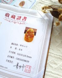 红翡山水吊坠 Red Jadeite Landscape Pendant