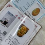 黄翡龙牌吊坠 Yellow Jadeite Dragon Pendant