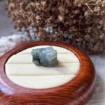 WhatsApp Image 2025-11-19 at 10.52.04 AM (1) 冰乌鸡貔貅 Ice Black Jadeite Pixiu