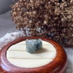 WhatsApp Image 2025-11-19 at 10.52.09 AM 冰乌鸡貔貅 Ice Black Jadeite Pixiu