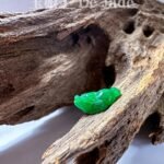 487297019_1239141977757172_1255469401574711022_n 正阳绿蟾蜍 Imperial Yang Green Jade Toad