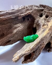 487297019_1239141977757172_1255469401574711022_n 正阳绿蟾蜍 Imperial Yang Green Jade Toad