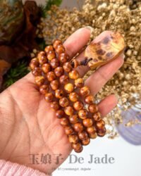 488655262_1245440467127323_7947893358720312598_n 崖 崖柏瘤疤长串 Thuja Burl Long Strand