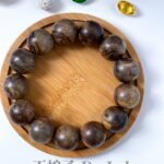 海南黎母山沉香手串 Hainan Limu Mountain Agarwood Bracelet