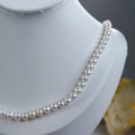 IMG_4551.JPG D 海水珍珠项链 Seawater Pearl Necklace