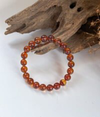 IMG_4580.JPG 手 紫翳蜜手串 Purple Dark Amber Bracelet
