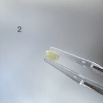 IMG_4960.JPG 茶黄翡翠蛋面 Tea Yellow Jadeite Cabochon