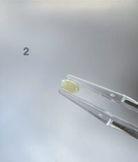 IMG_4960.JPG 茶黄翡翠蛋面 Tea Yellow Jadeite Cabochon