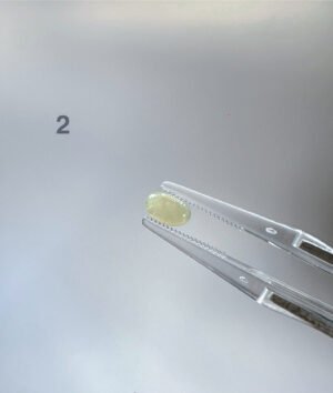 茶黄翡翠蛋面 Tea Yellow Jadeite Cabochon