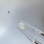IMG_4965.JPG 茶黄翡翠蛋面 Tea Yellow Jadeite Cabochon