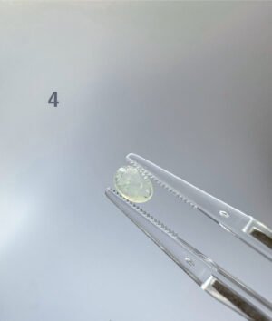 茶黄翡翠蛋面 Tea Yellow Jadeite Cabochon