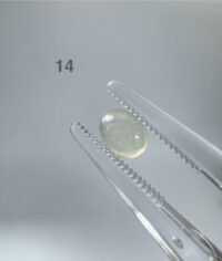 IMG_5157.JPG 翡翠蛋面 Jadeite Cabochon