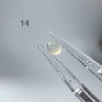 IMG_5159.JPG 翡翠蛋面 Jadeite Cabochon