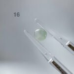 IMG_5162.JPG 翡翠蛋面 Jadeite Cabochon