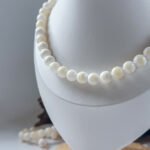 砗磲长串 Tridacna Long Strand